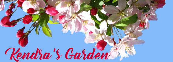 Kendra's Garden
