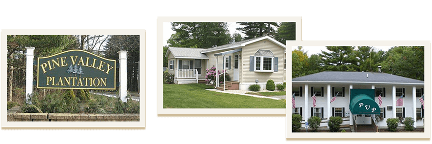 Pine Valley Plantation